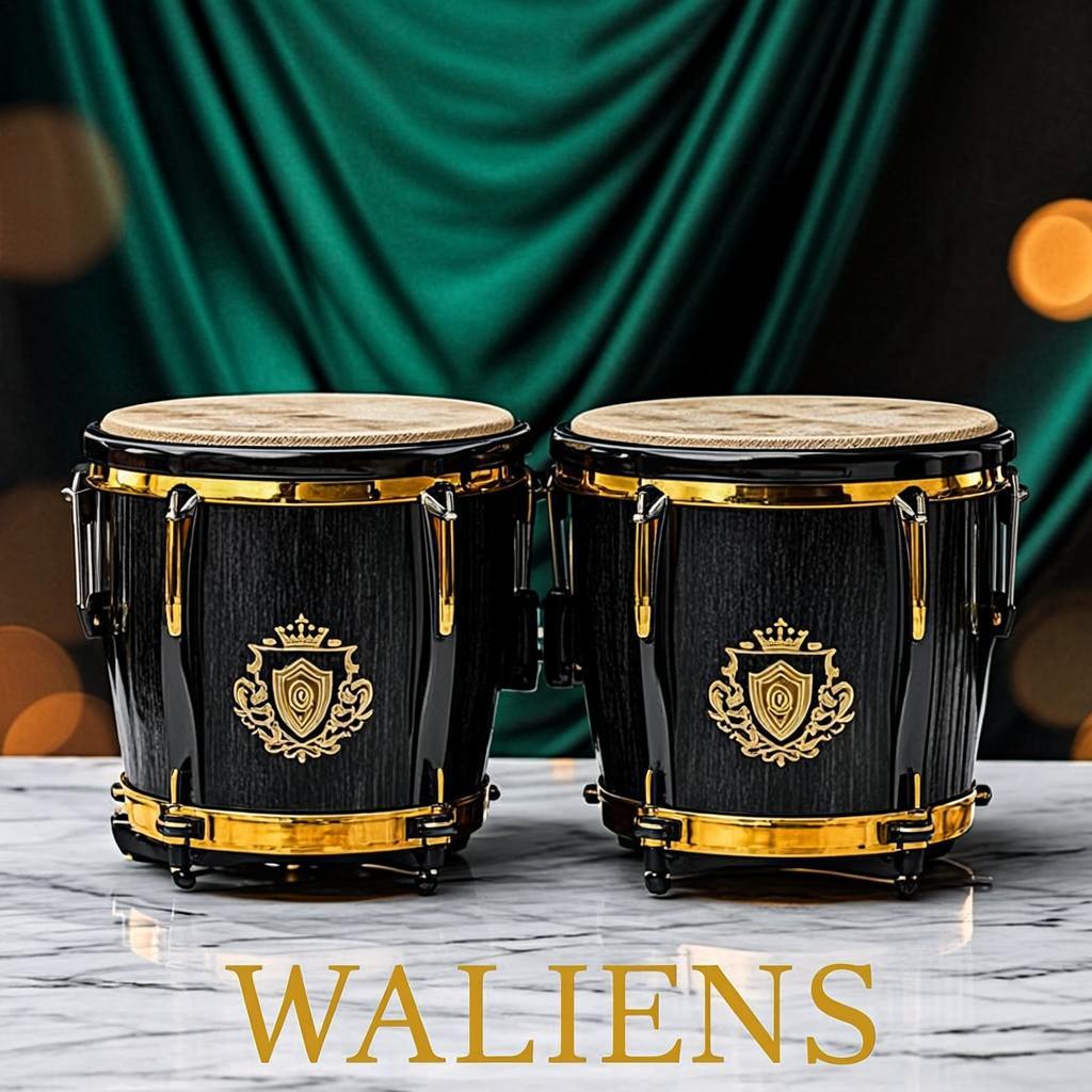 WALIENS Bongos